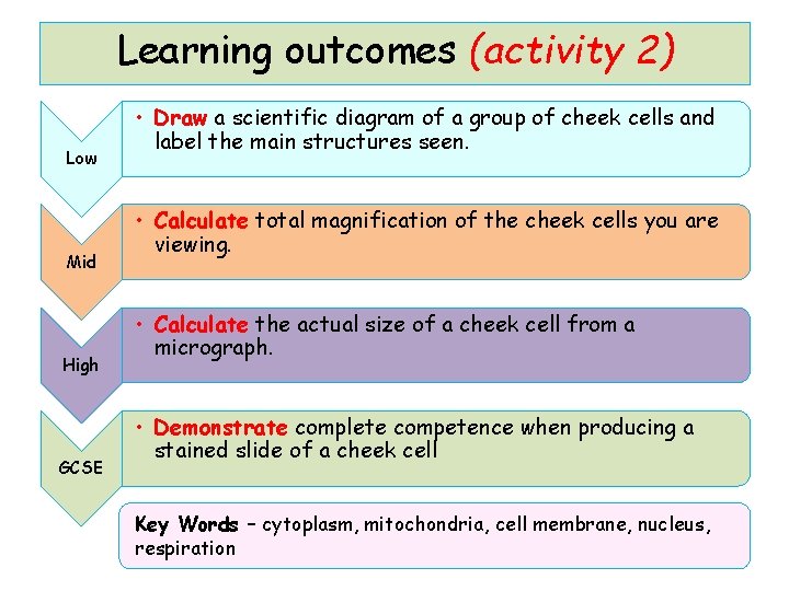 Learning outcomes (activity 2) Low Mid High GCSE • Draw a scientific diagram of