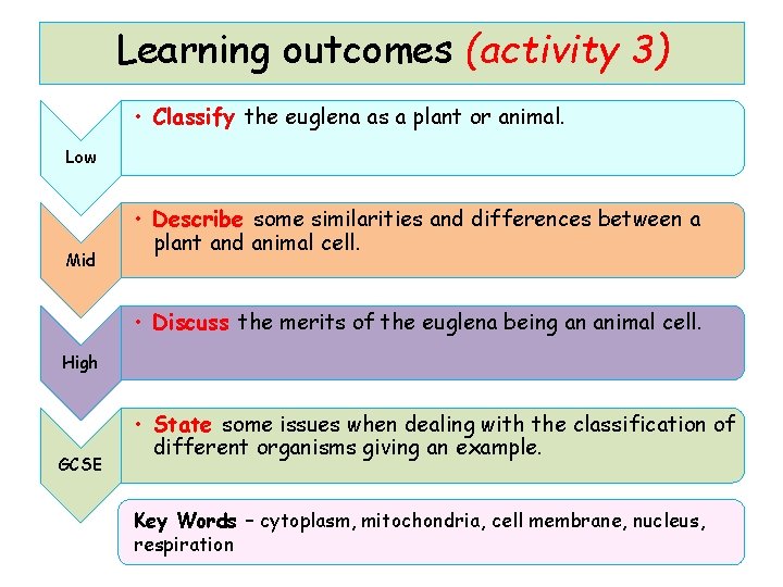 Learning outcomes (activity 3) • Classify the euglena as a plant or animal. Low