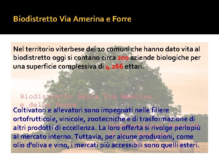 Biodistretto Via Amerina e Forre Nel territorio viterbese dei 10 comuni che hanno dato
