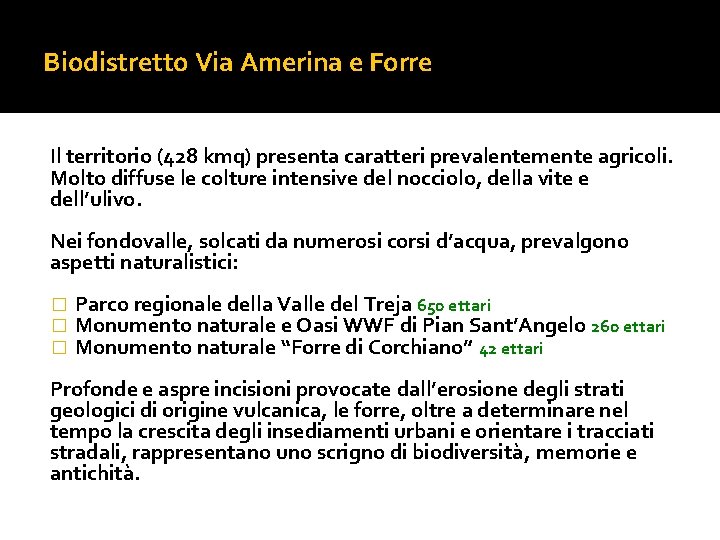 Biodistretto Via Amerina e Forre Il territorio (428 kmq) presenta caratteri prevalentemente agricoli. Molto