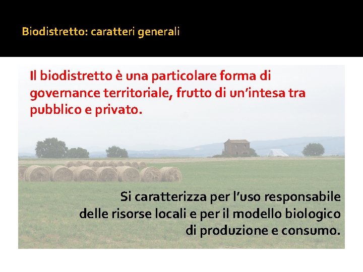 Biodistretto: caratteri generali Il biodistretto è una particolare forma di governance territoriale, frutto di