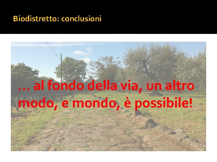 Biodistretto: conclusioni … al fondo della via, un altro modo, e mondo, è possibile!