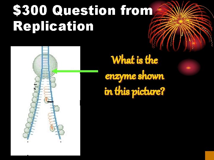 $300 Question from Replication What is the enzyme shown in this picture? 