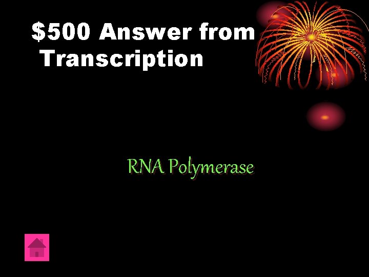 $500 Answer from Transcription RNA Polymerase 