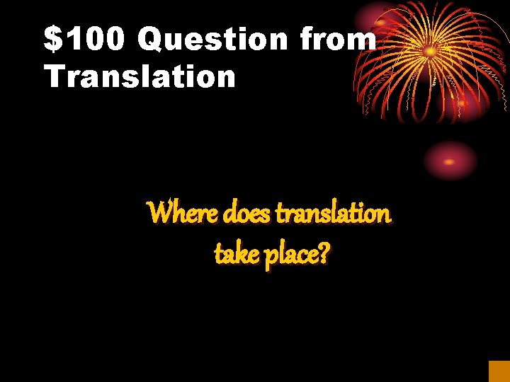 $100 Question from Translation Where does translation take place? 