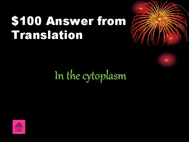 $100 Answer from Translation In the cytoplasm 