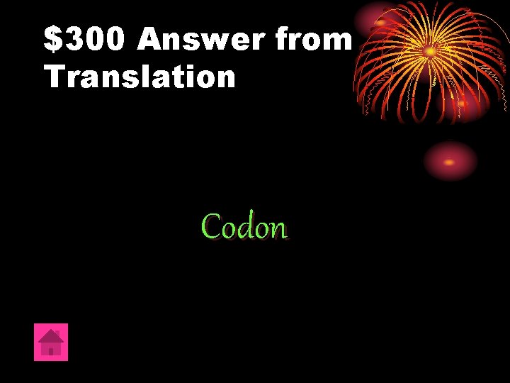 $300 Answer from Translation Codon 