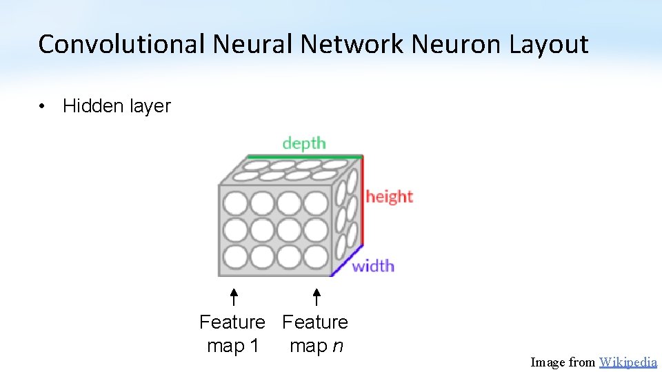 Convolutional Neural Network Neuron Layout • Hidden layer Feature map 1 map n Image