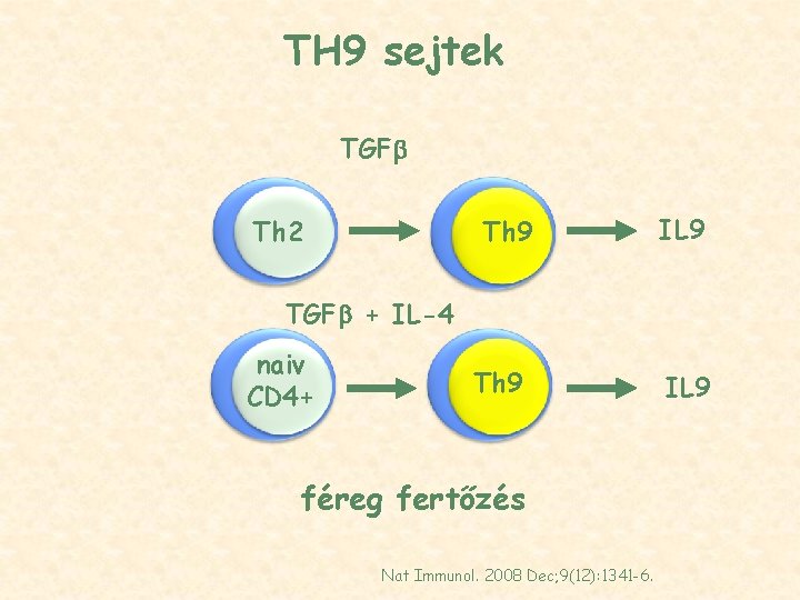 TH 9 sejtek TGF Th 2 Th 9 IL 9 TGF + IL-4 naiv