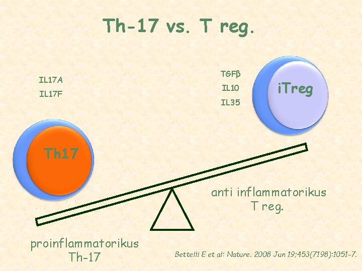 Th-17 vs. T reg. IL 17 A IL 17 F TGFβ IL 10 IL