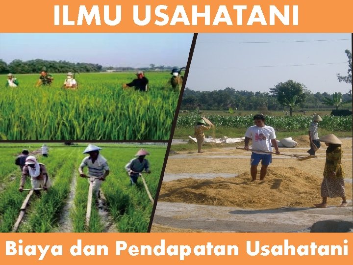 ILMU USAHATANI Biaya dan Pendapatan Usahatani 