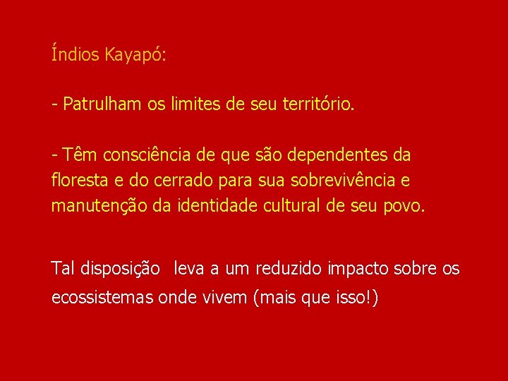 Índios Kayapó: - Patrulham os limites de seu território. - Têm consciência de que