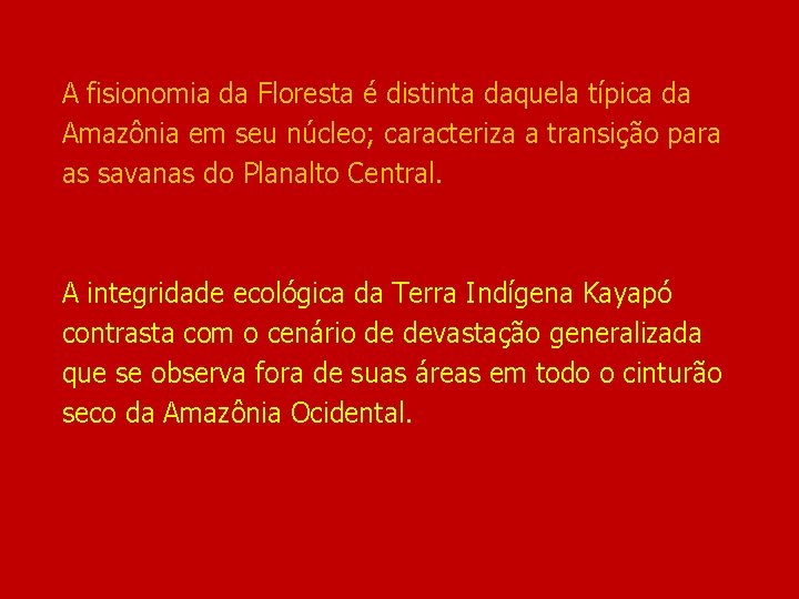 A fisionomia da Floresta é distinta daquela típica da Amazônia em seu núcleo; caracteriza