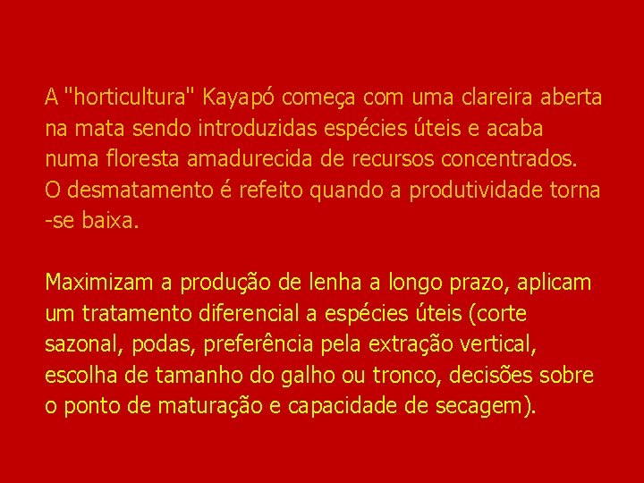 A "horticultura" Kayapó começa com uma clareira aberta na mata sendo introduzidas espécies úteis