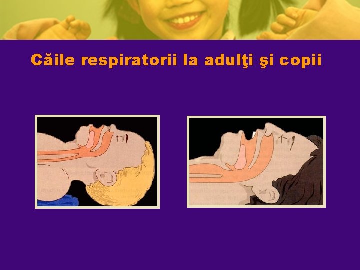 Căile respiratorii la adulţi şi copii Căile respiratorii la adulţi şi copii