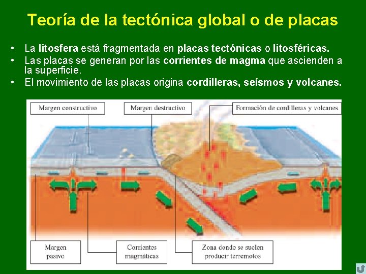Teoría de la tectónica global o de placas • La litosfera está fragmentada en