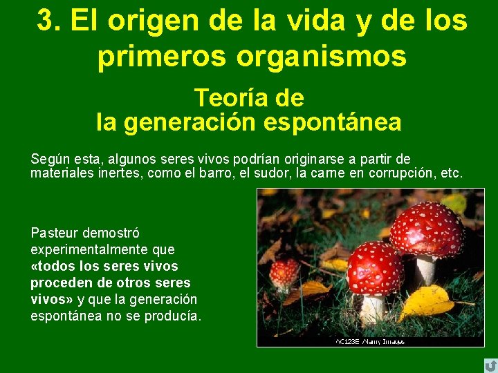 3. El origen de la vida y de los primeros organismos Teoría de la