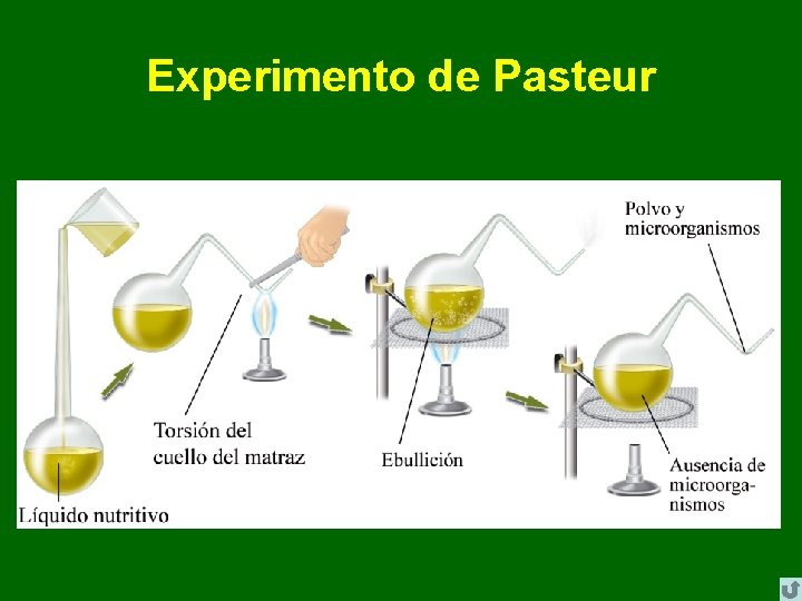 Experimento de Pasteur 