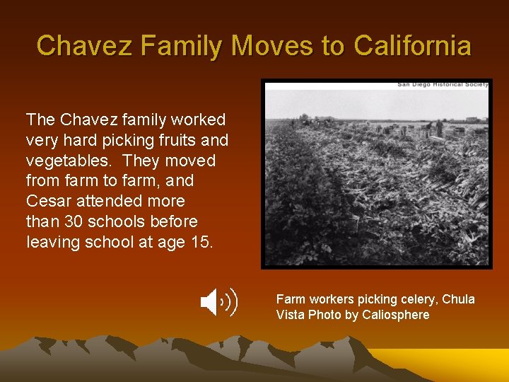 Chavez Family Moves to California The Chavez family worked very hard picking fruits and