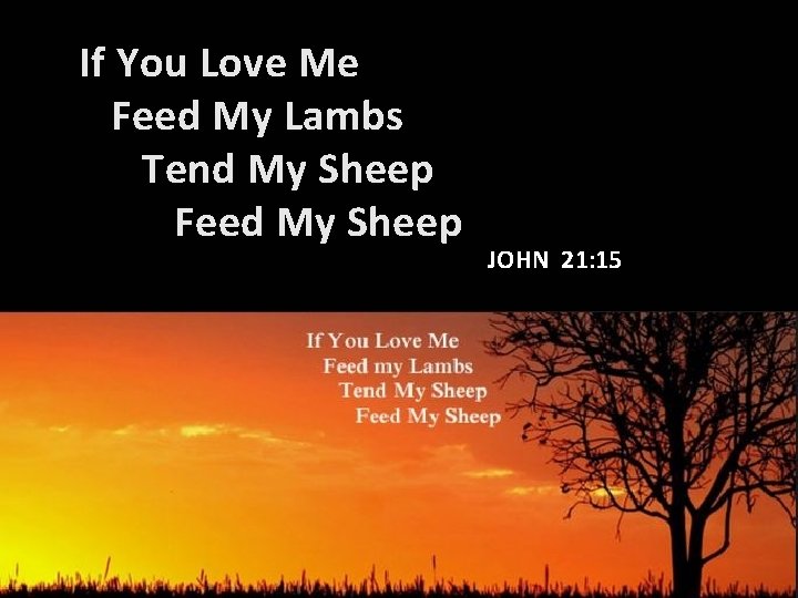 If You Love Me Feed My Lambs Tend My Sheep Feed My Sheep JOHN