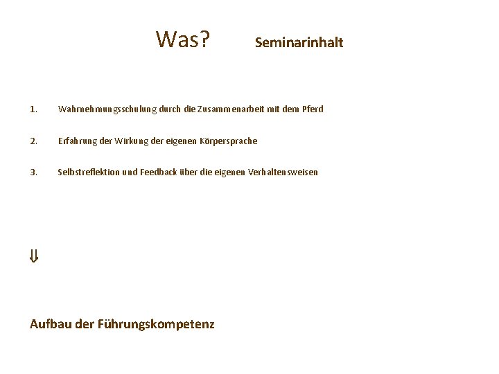 Was? Seminarinhalt 1. Wahrnehmungsschulung durch die Zusammenarbeit mit dem Pferd 2. Erfahrung der Wirkung