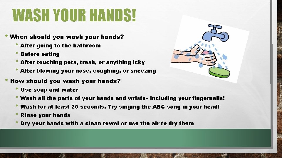 WASH YOUR HANDS! • When should you wash your hands? • After going to