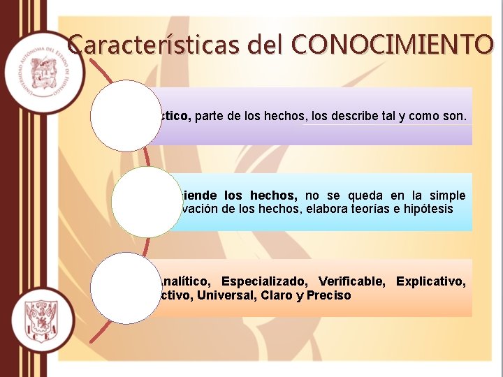 Características del CONOCIMIENTO Es fáctico, parte de los hechos, los describe tal y como