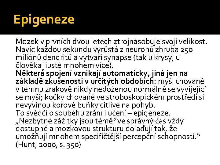 Epigeneze Mozek v prvních dvou letech ztrojnásobuje svoji velikost. Navíc každou sekundu vyrůstá z