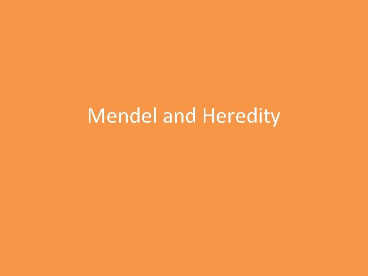 Mendel and Heredity 
