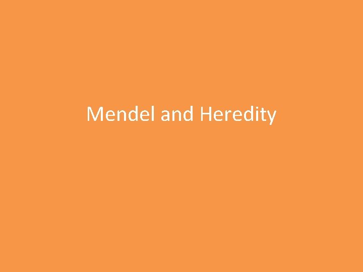 Mendel and Heredity 
