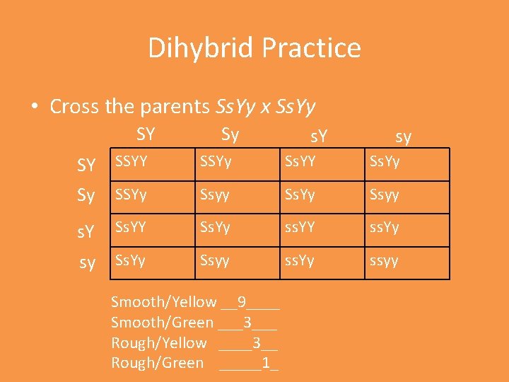 Dihybrid Practice • Cross the parents Ss. Yy x Ss. Yy SY Sy s.