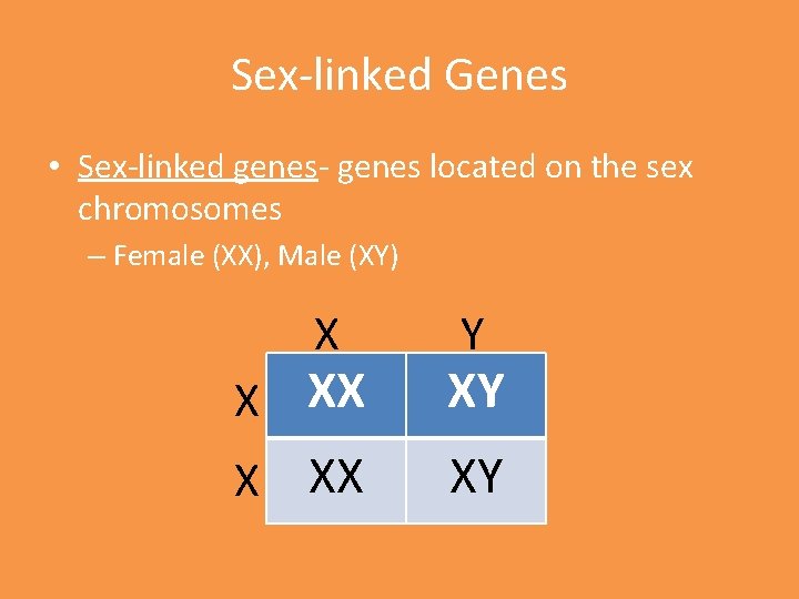 Sex-linked Genes • Sex-linked genes- genes located on the sex chromosomes – Female (XX),