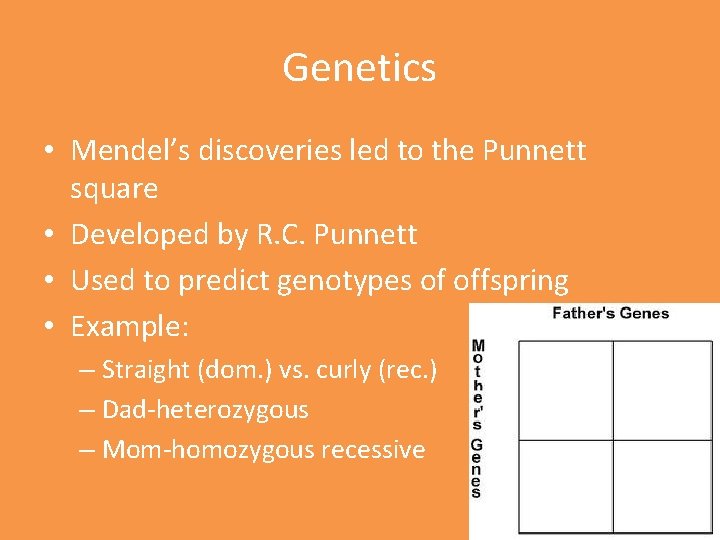 Genetics • Mendel’s discoveries led to the Punnett square • Developed by R. C.