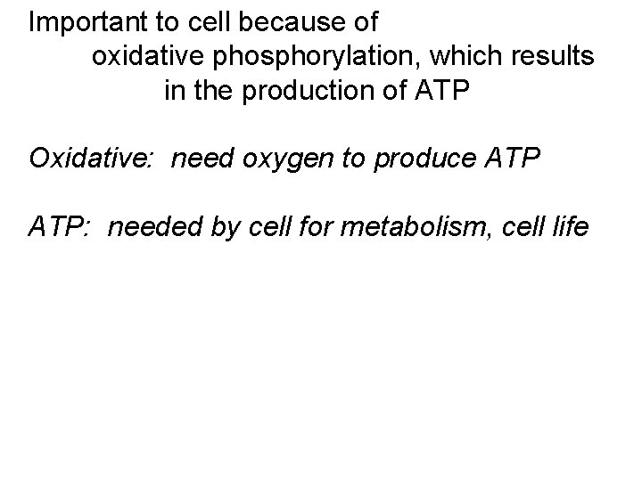 Important to cell because of oxidative phosphorylation, which results in the production of ATP