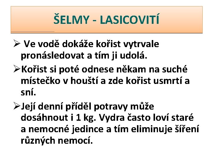 ŠELMY - LASICOVITÍ Ø Ve vodě dokáže kořist vytrvale pronásledovat a tím ji udolá.