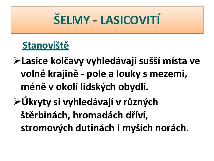 ŠELMY - LASICOVITÍ Stanoviště ØLasice kolčavy vyhledávají sušší místa ve volné krajině - pole