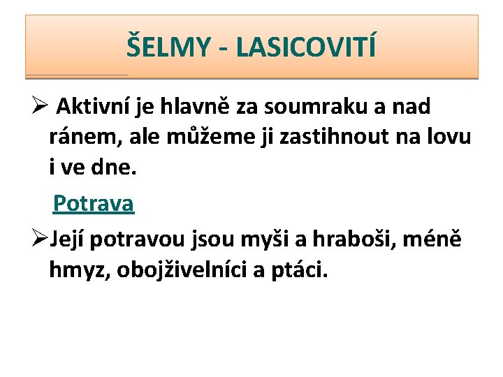 ŠELMY - LASICOVITÍ Ø Aktivní je hlavně za soumraku a nad ránem, ale můžeme