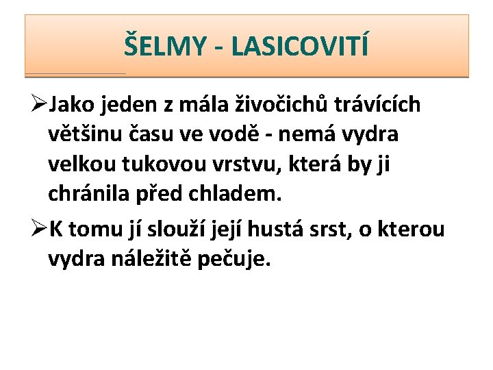 ŠELMY - LASICOVITÍ ØJako jeden z mála živočichů trávících většinu času ve vodě -