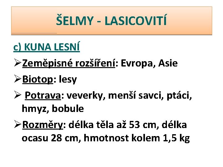 ŠELMY - LASICOVITÍ c) KUNA LESNÍ ØZeměpisné rozšíření: Evropa, Asie ØBiotop: lesy Ø Potrava: