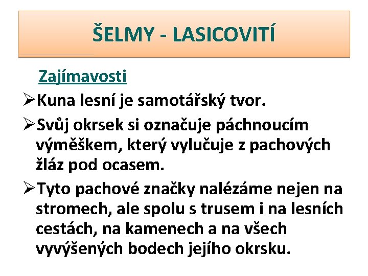 ŠELMY - LASICOVITÍ Zajímavosti ØKuna lesní je samotářský tvor. ØSvůj okrsek si označuje páchnoucím