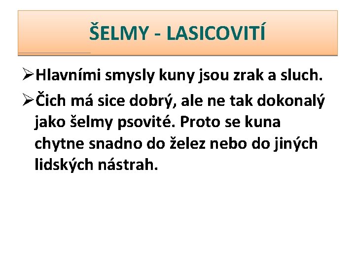 ŠELMY - LASICOVITÍ ØHlavními smysly kuny jsou zrak a sluch. ØČich má sice dobrý,