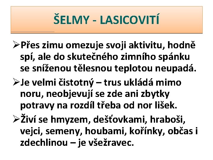 ŠELMY - LASICOVITÍ ØPřes zimu omezuje svoji aktivitu, hodně spí, ale do skutečného zimního