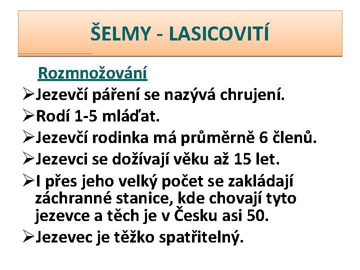 ŠELMY - LASICOVITÍ Rozmnožování ØJezevčí páření se nazývá chrujení. ØRodí 1 -5 mláďat. ØJezevčí