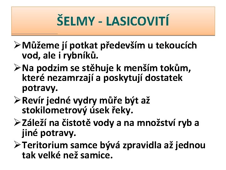 ŠELMY - LASICOVITÍ ØMůžeme jí potkat především u tekoucích vod, ale i rybníků. ØNa