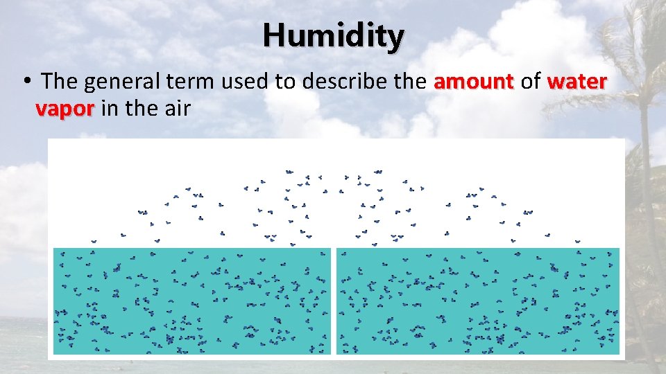 Humidity • The general term used to describe the amount of water vapor in