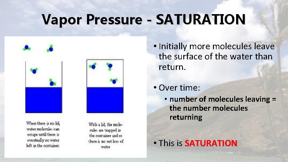 Vapor Pressure - SATURATION • Initially more molecules leave the surface of the water