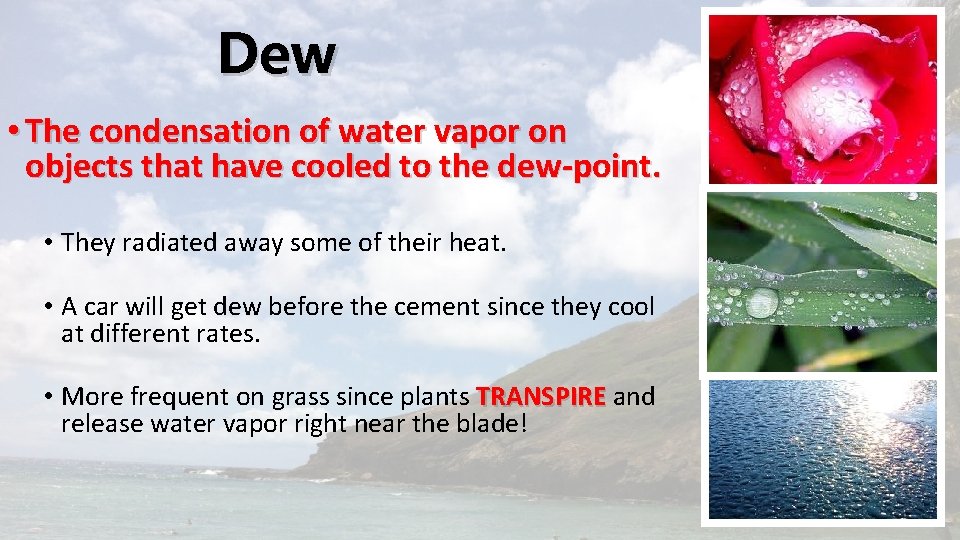 Dew • The condensation of water vapor on objects that have cooled to the