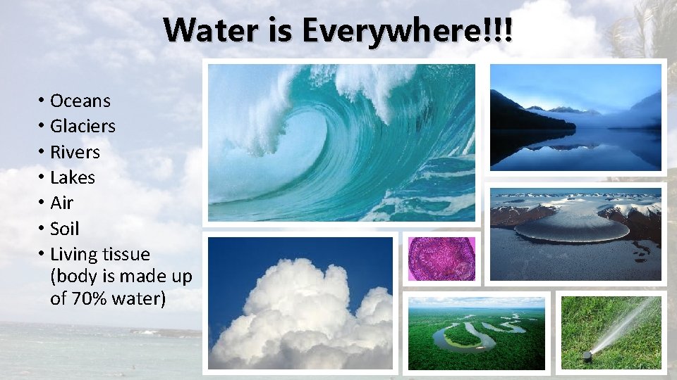 Water is Everywhere!!! • Oceans • Glaciers • Rivers • Lakes • Air •