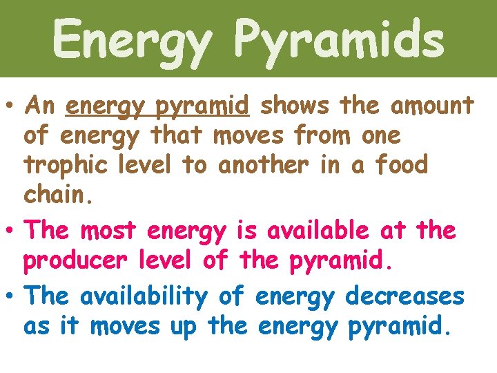Energy Pyramids • An energy pyramid shows the amount of energy that moves from