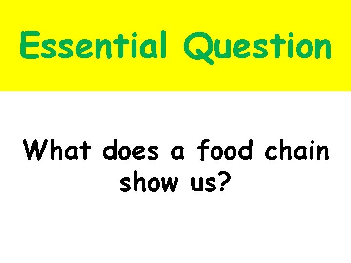 Essential Question What does a food chain show us? 